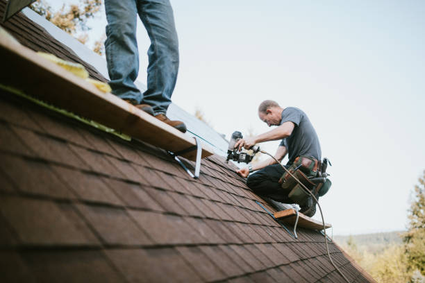 Professional Roofing Contractor in Lynwood, IL